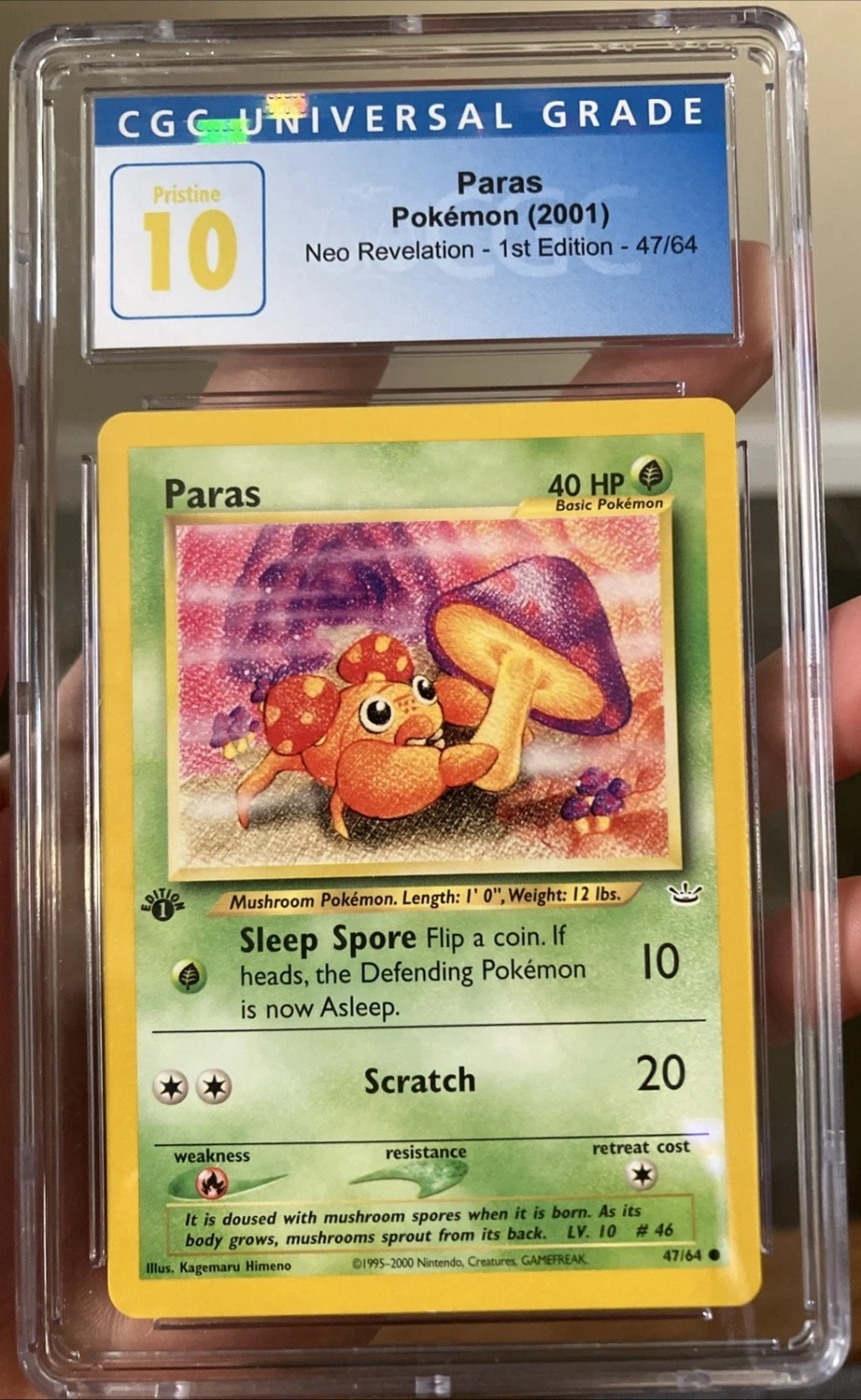 Paras