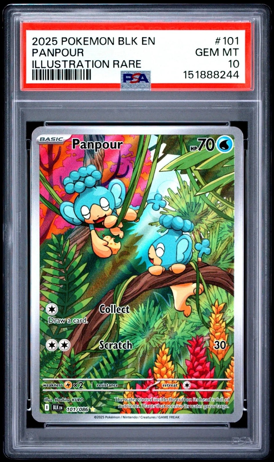 Panpour