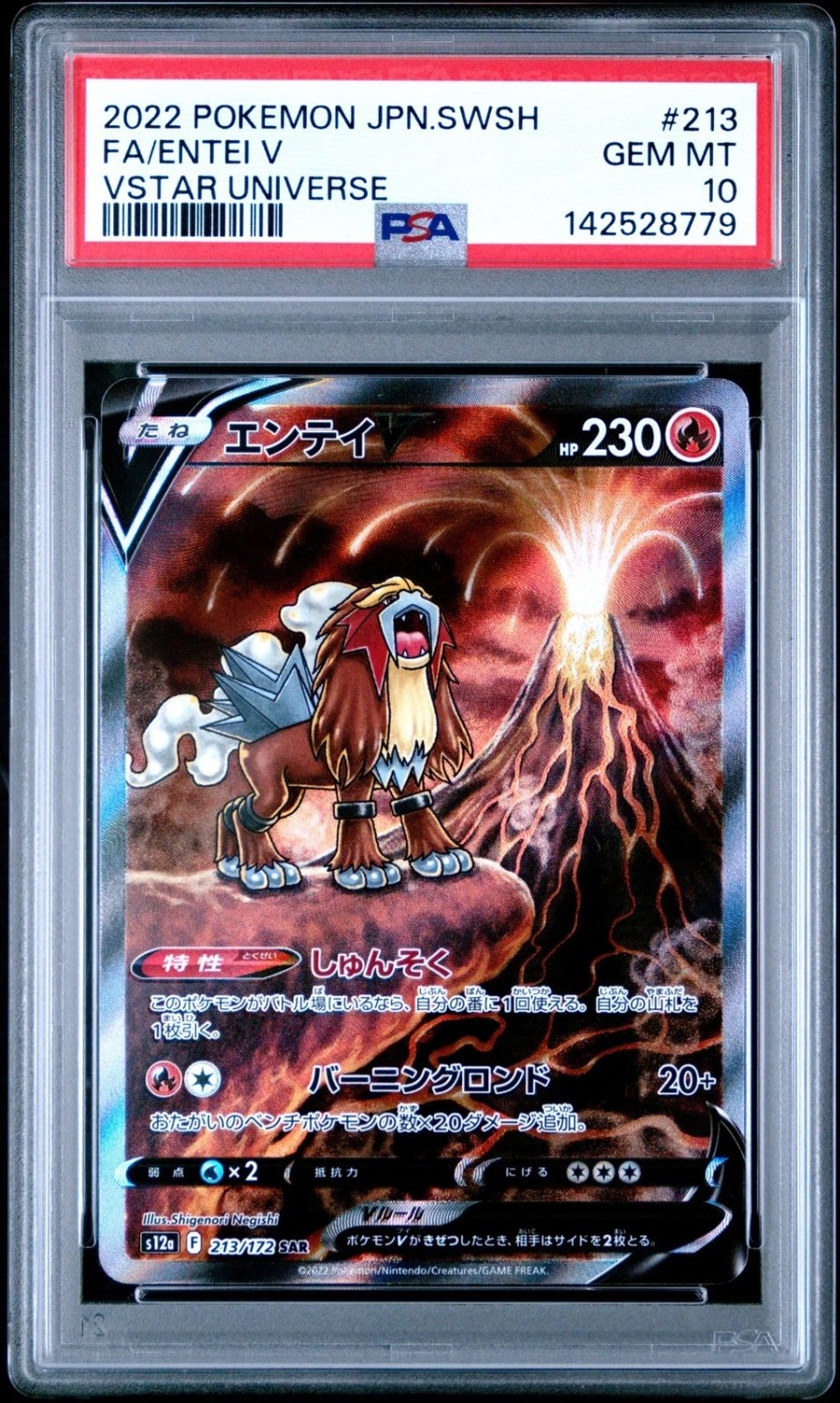 Entei V