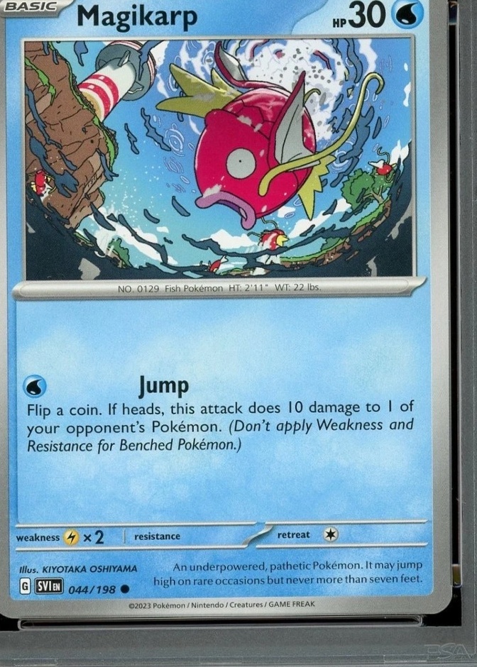 Base / no variant