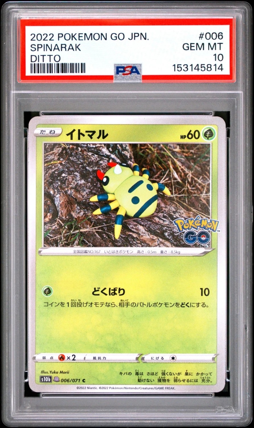 SPINARAK