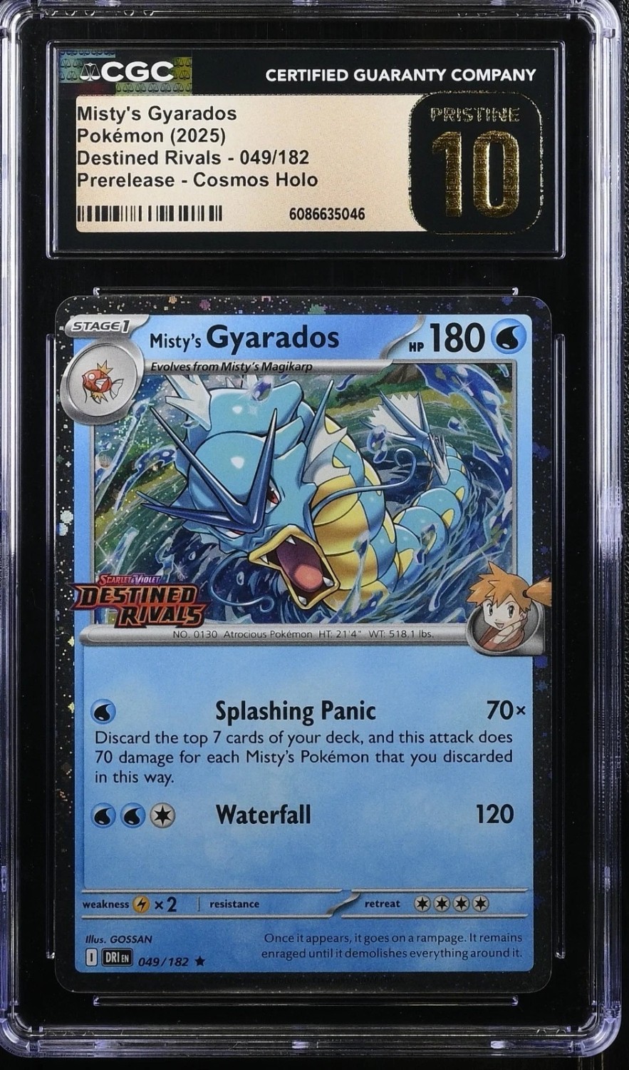Misty's Gyarados