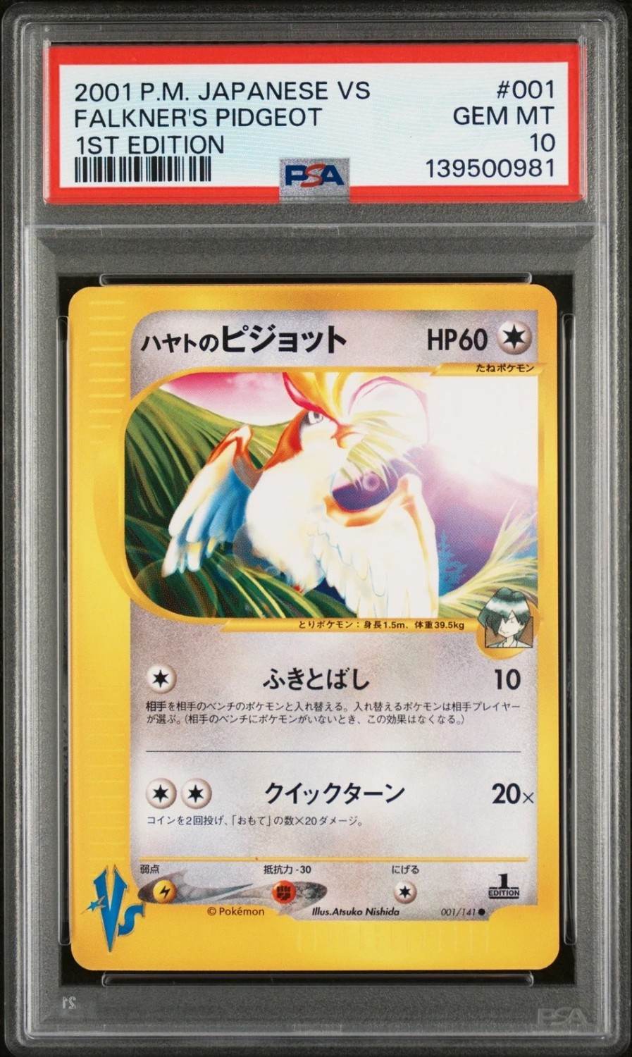 Falkner's Pidgeot