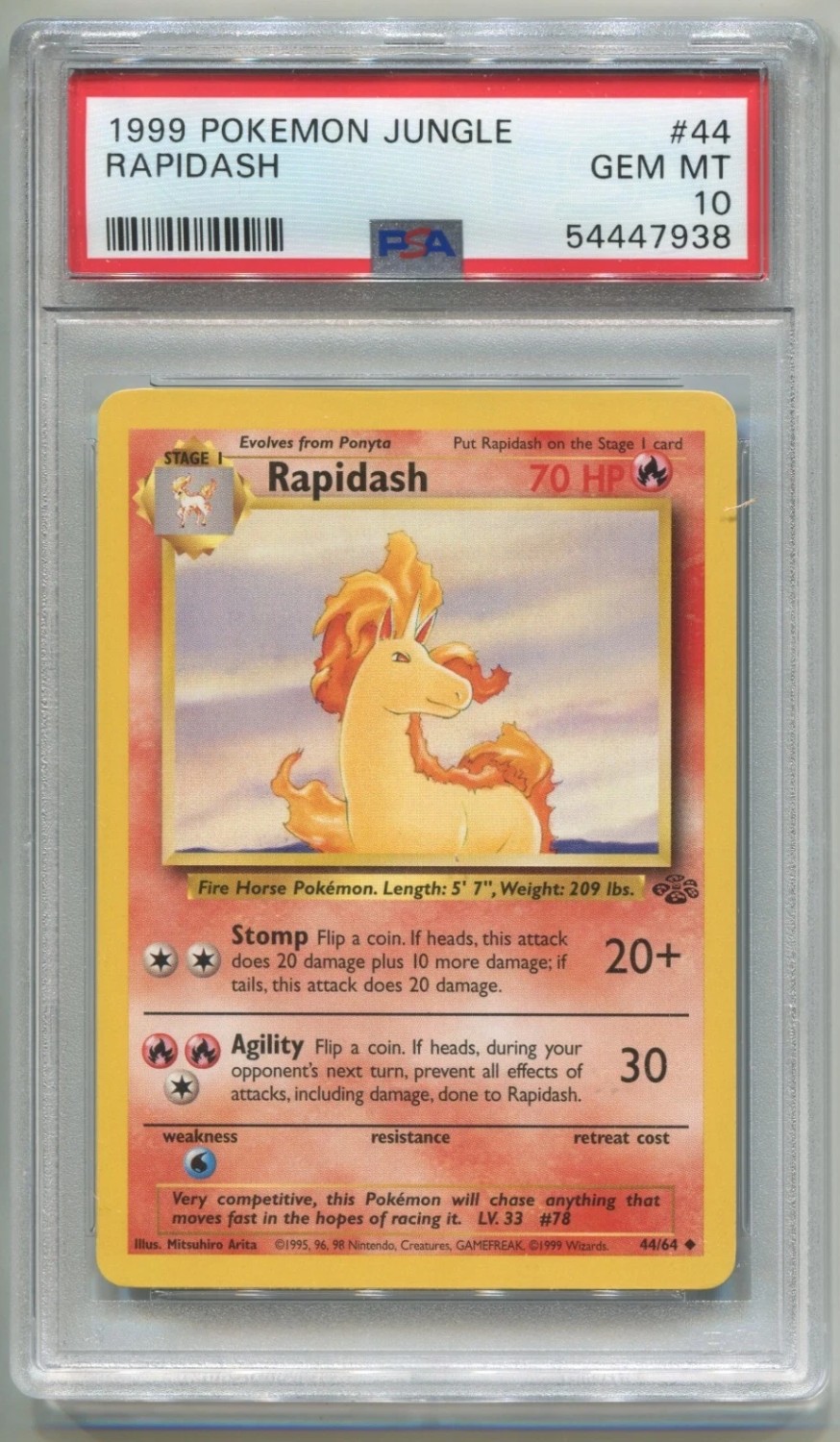Rapidash
