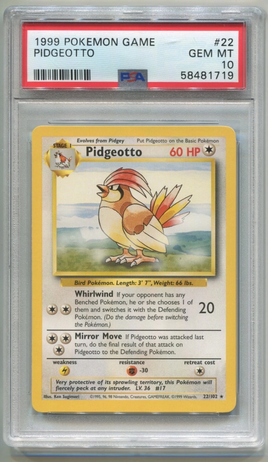 PIDGEOTTO