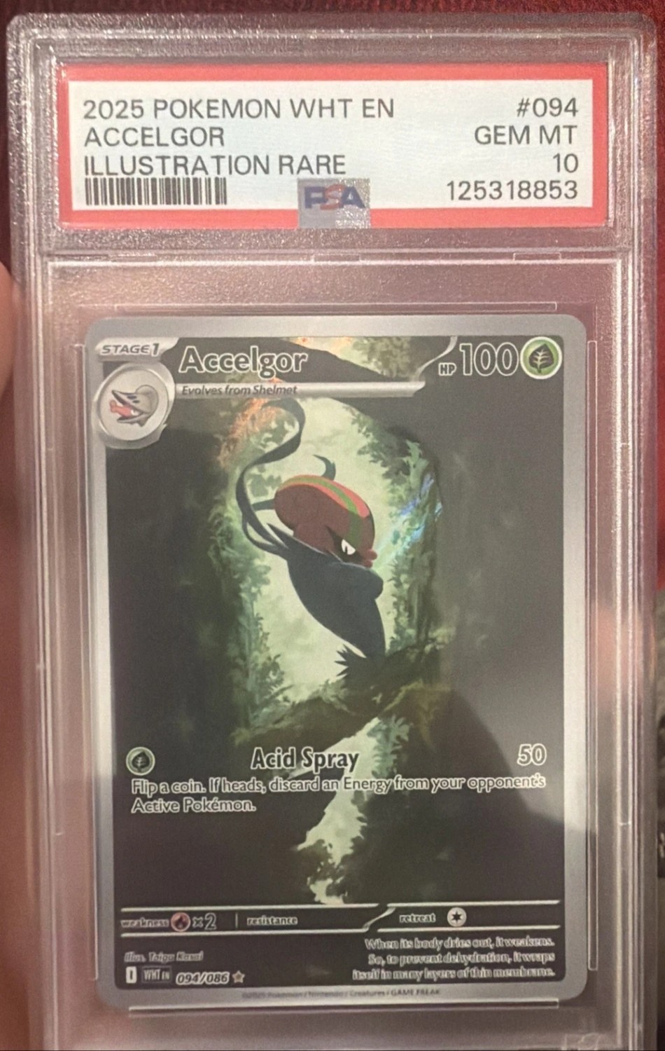 Accelgor
