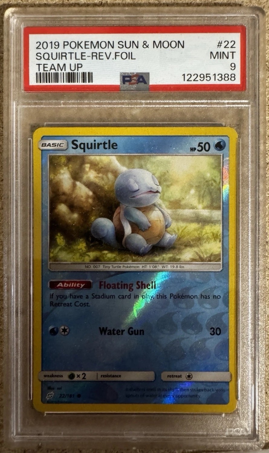 Squirtle