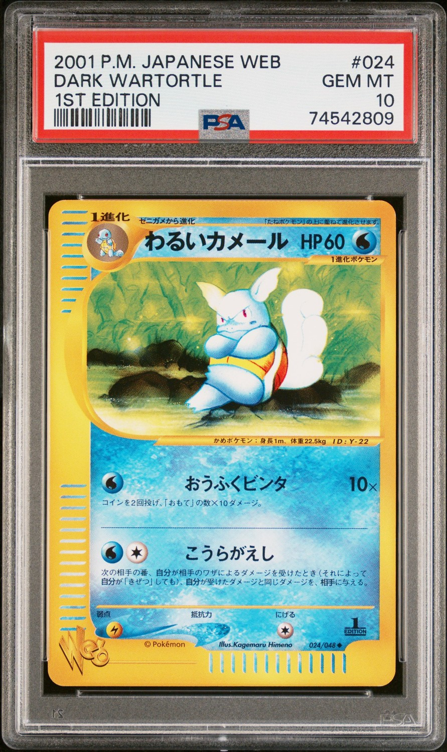 Dark Wartortle