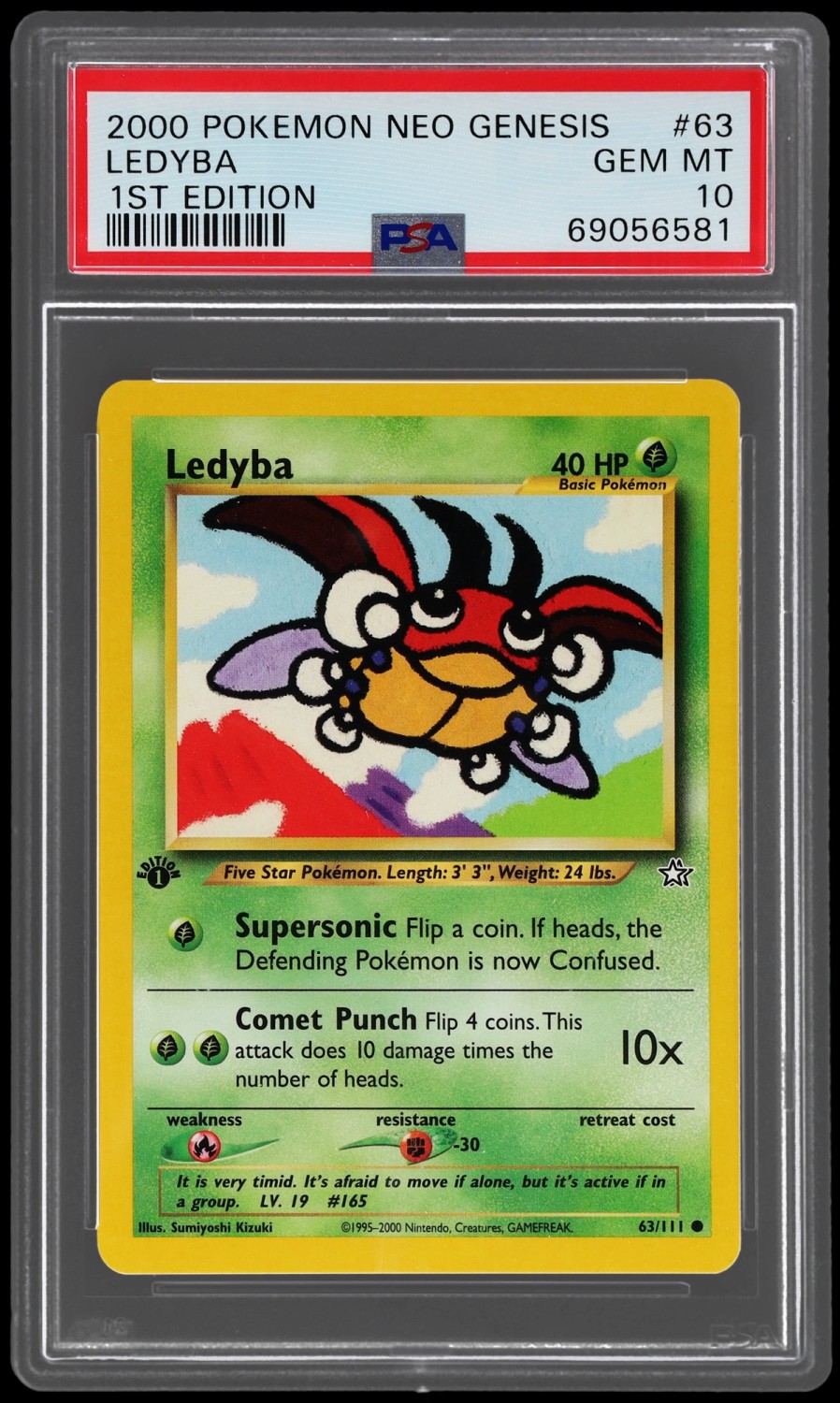 Ledyba