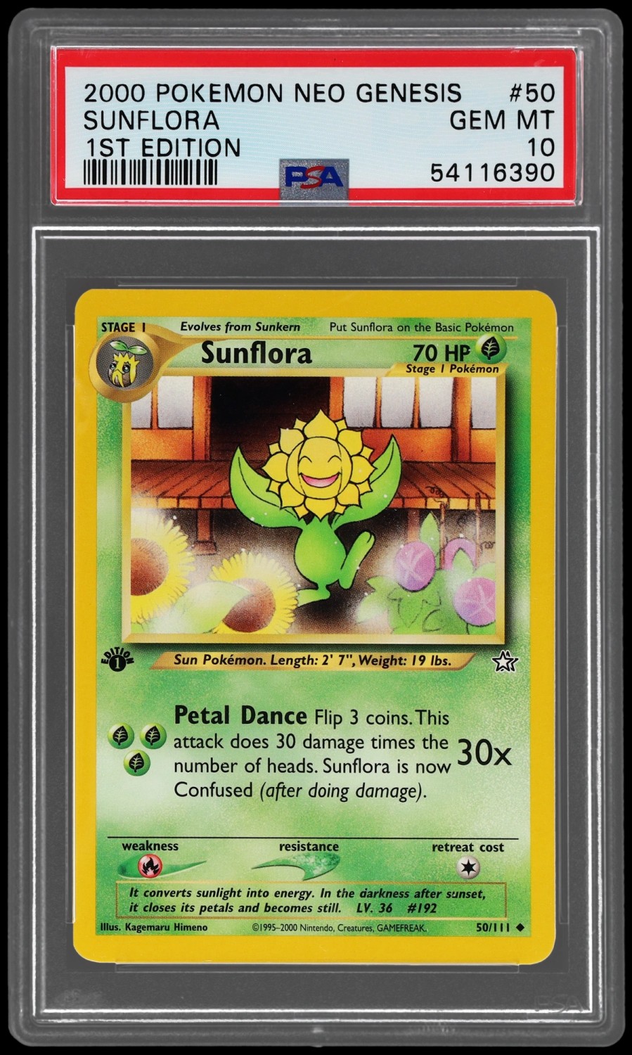 Sunflora