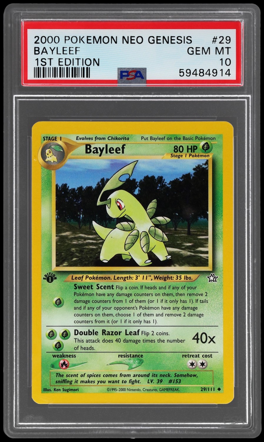 Bayleef