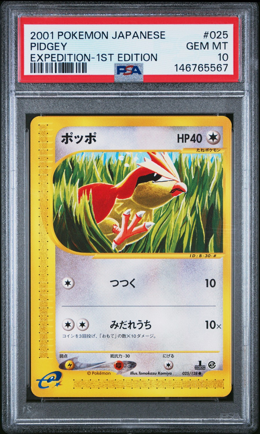 Pidgey