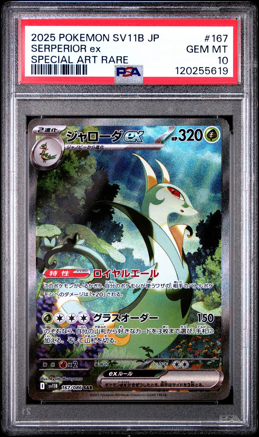 SERPERIOR ex