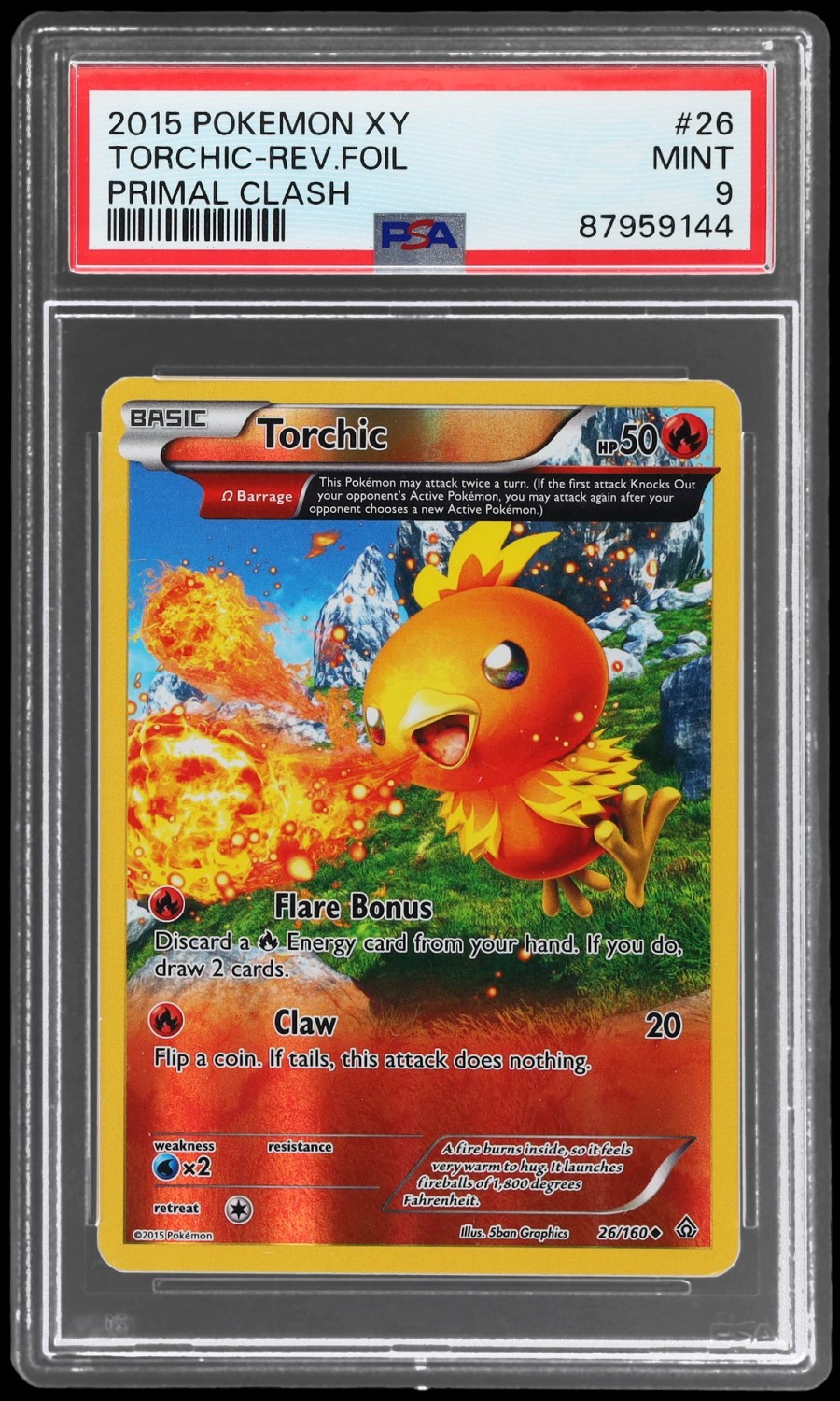 Torchic