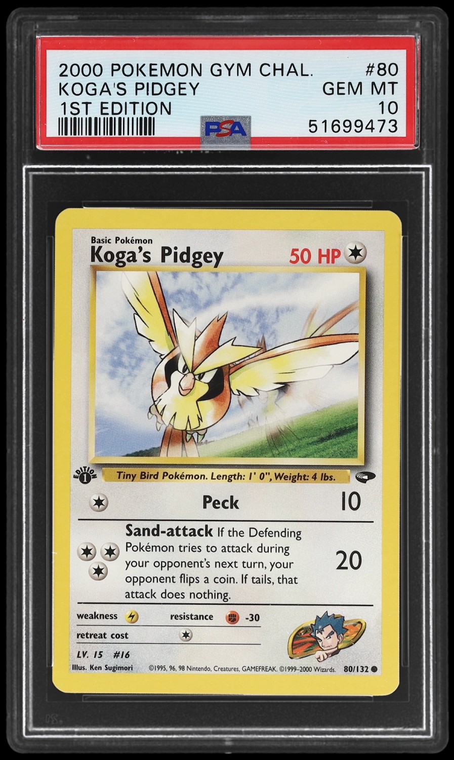 Koga's Pidgey