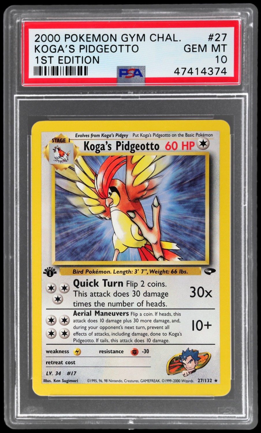 Koga's Pidgeotto