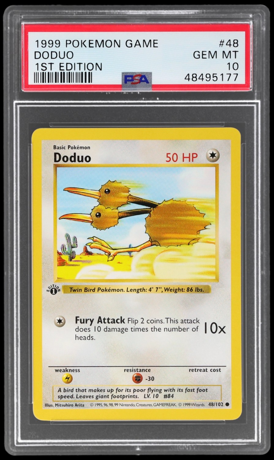 DODUO