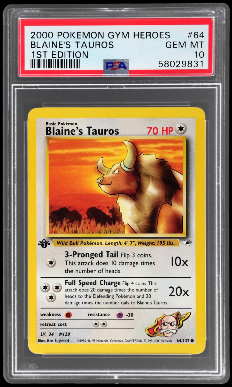 Blaine's Tauros