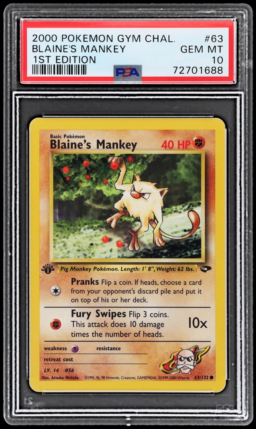 Blaine's Mankey