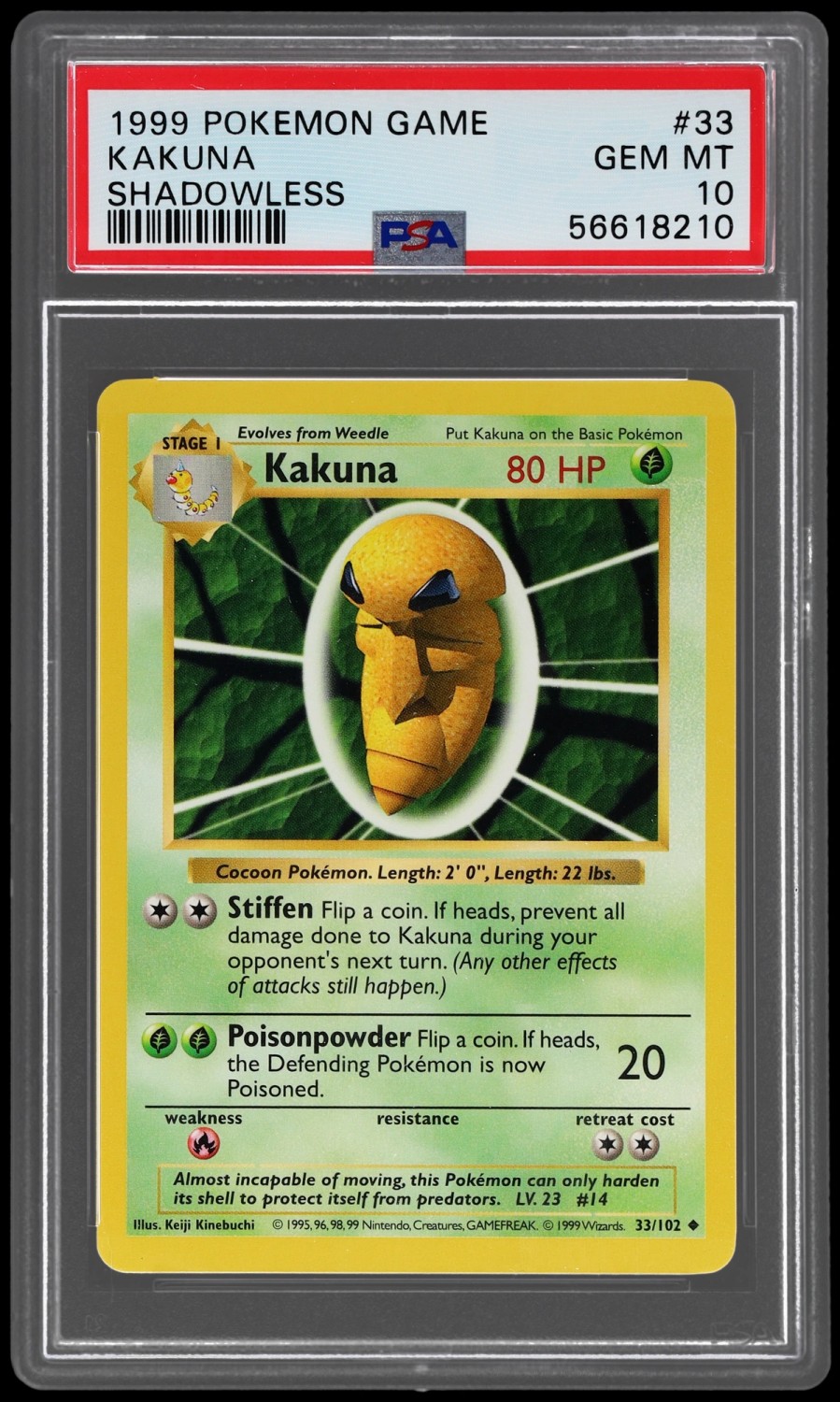 KAKUNA