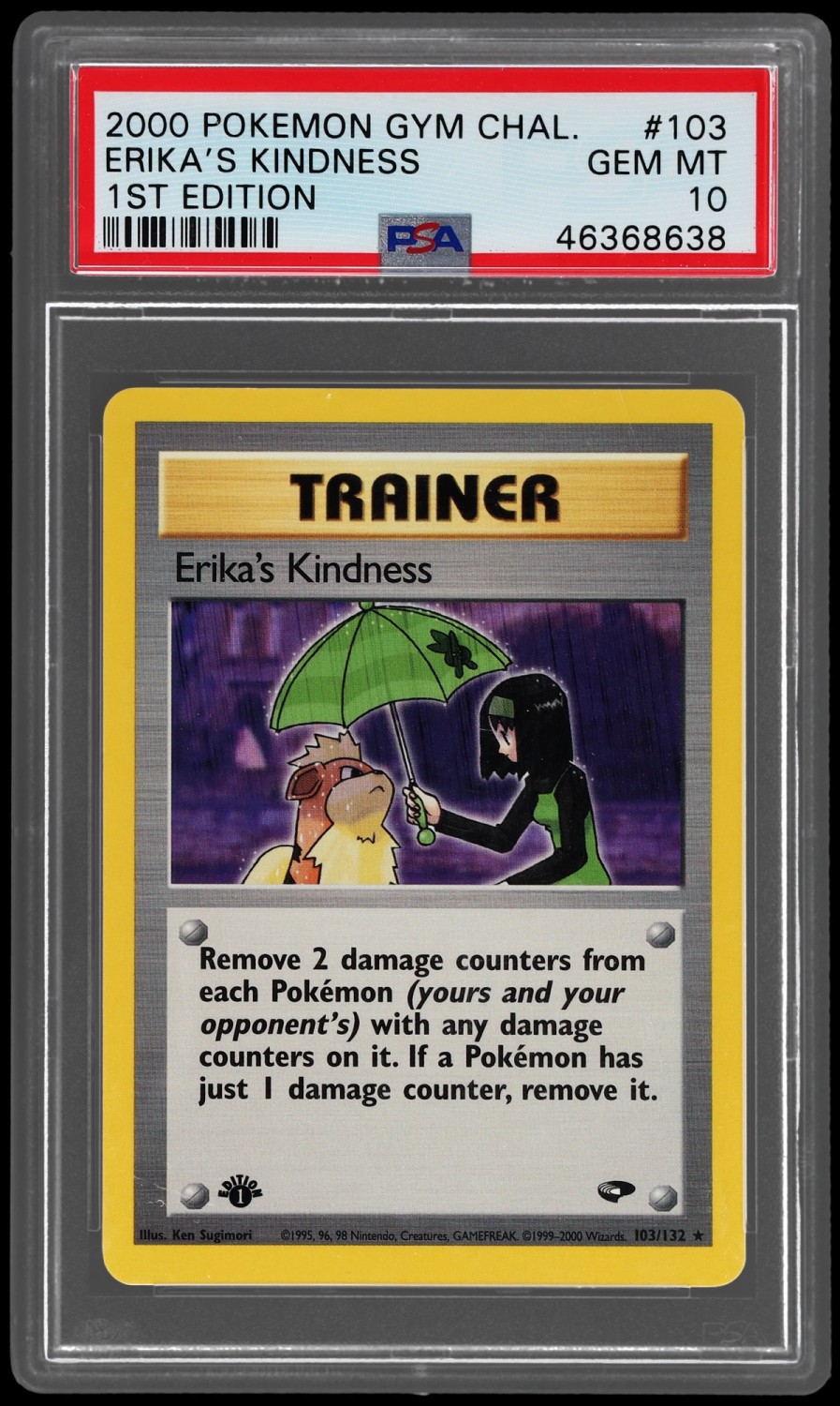Erika's Kindness