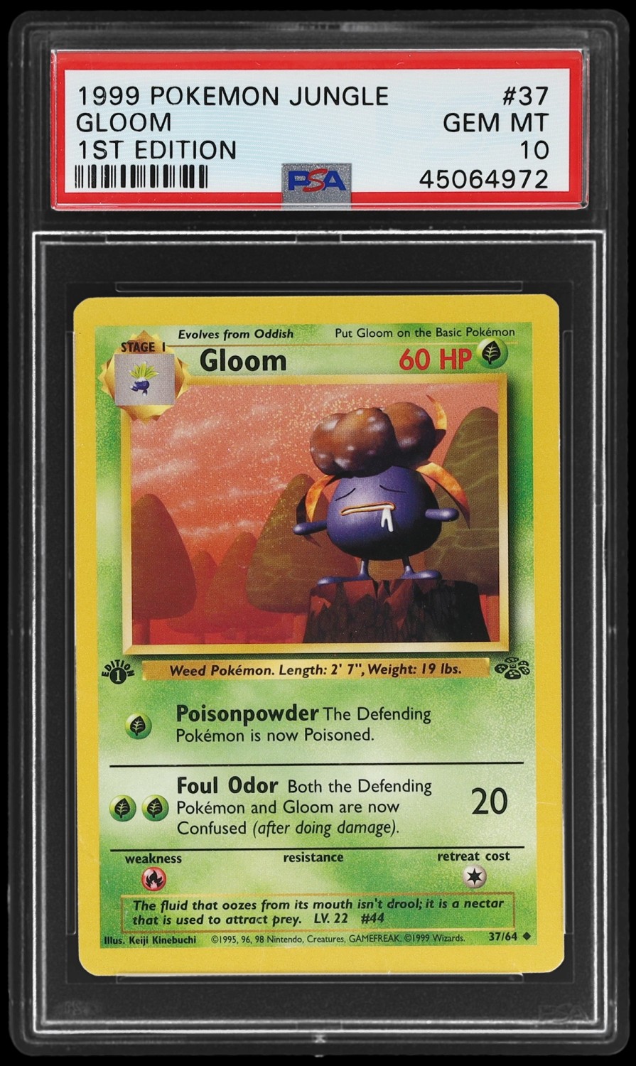 Gloom