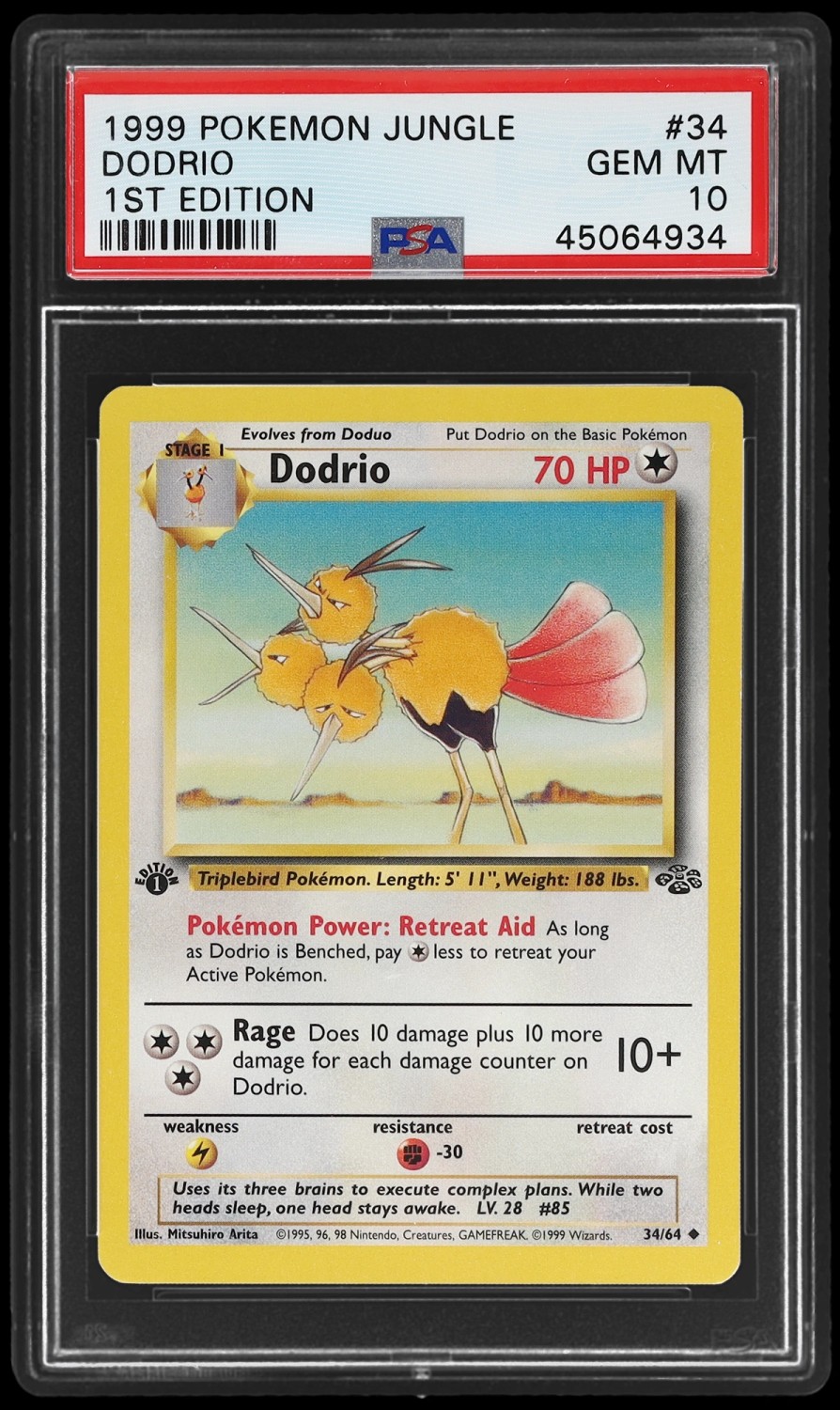Dodrio