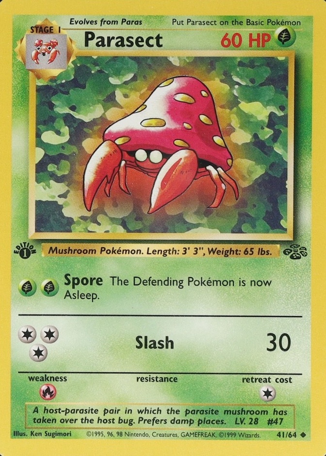 1st Edition