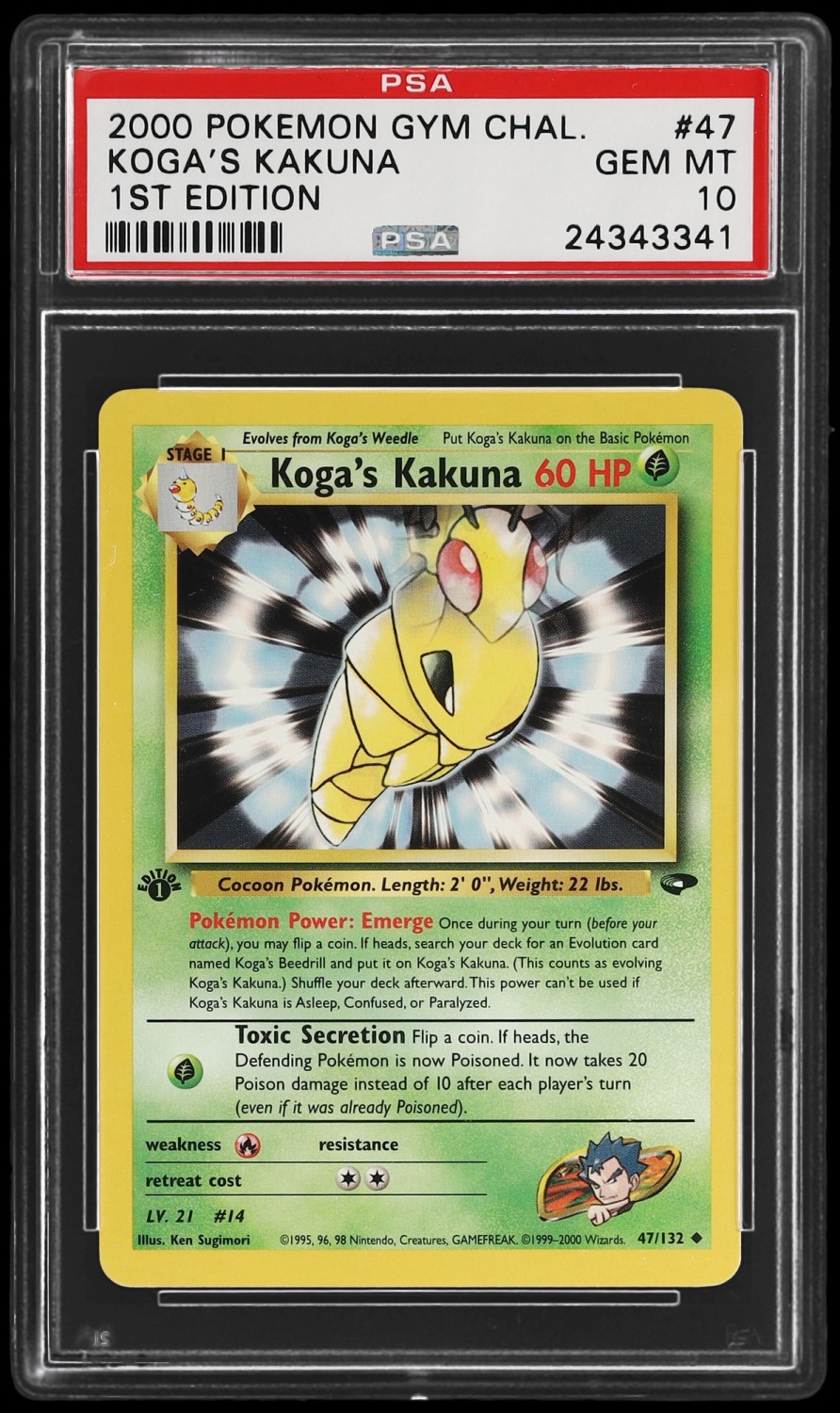 Koga's Kakuna