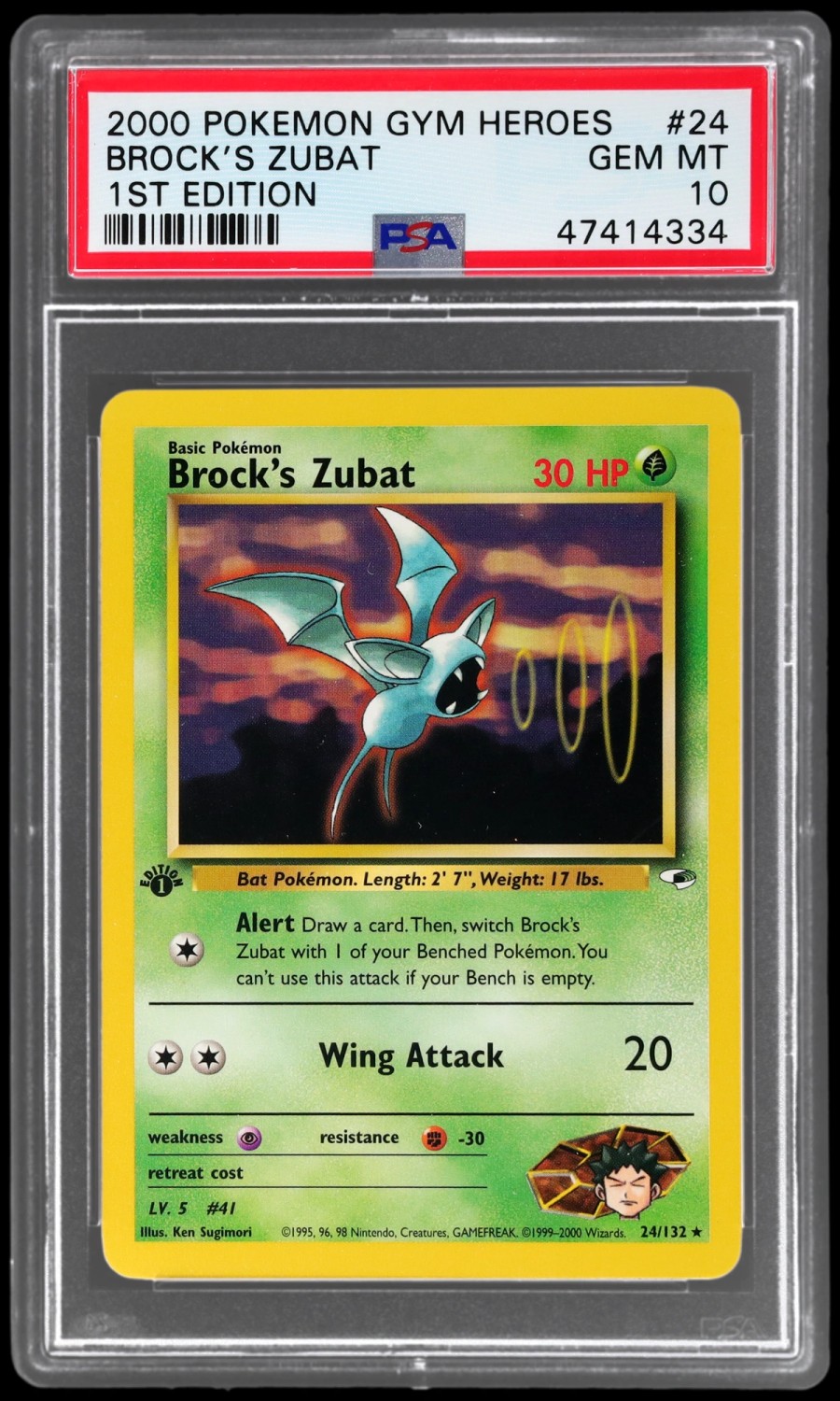 Brock's Zubat