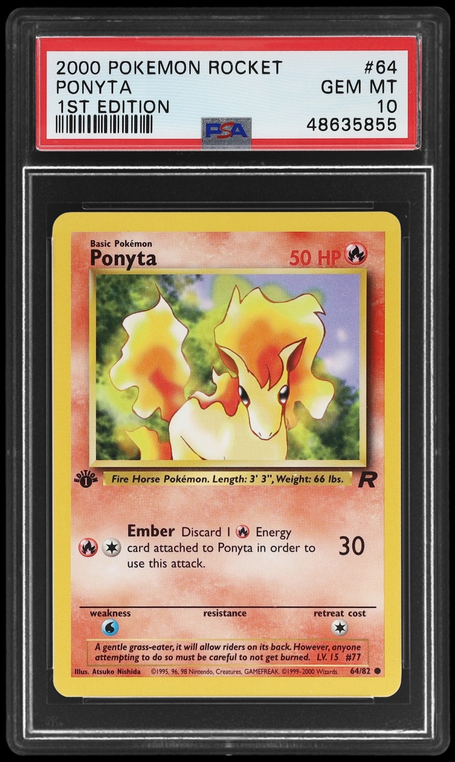 Ponyta