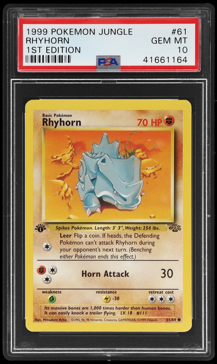 Rhyhorn