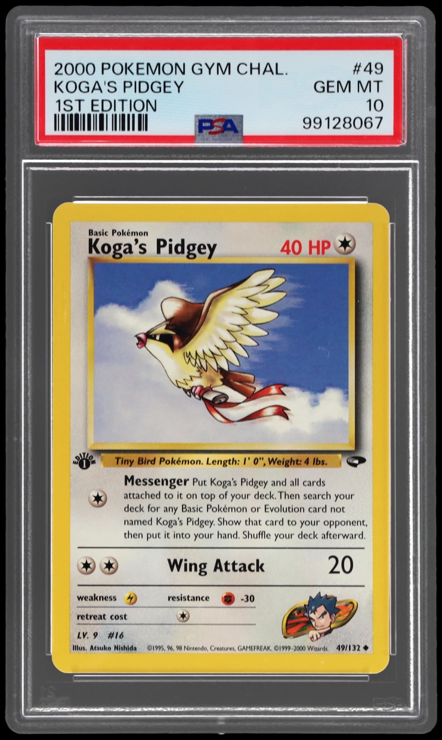 Koga's Pidgey