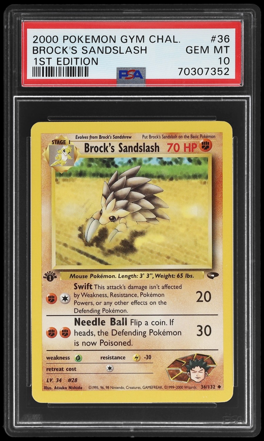 Brock's Sandslash