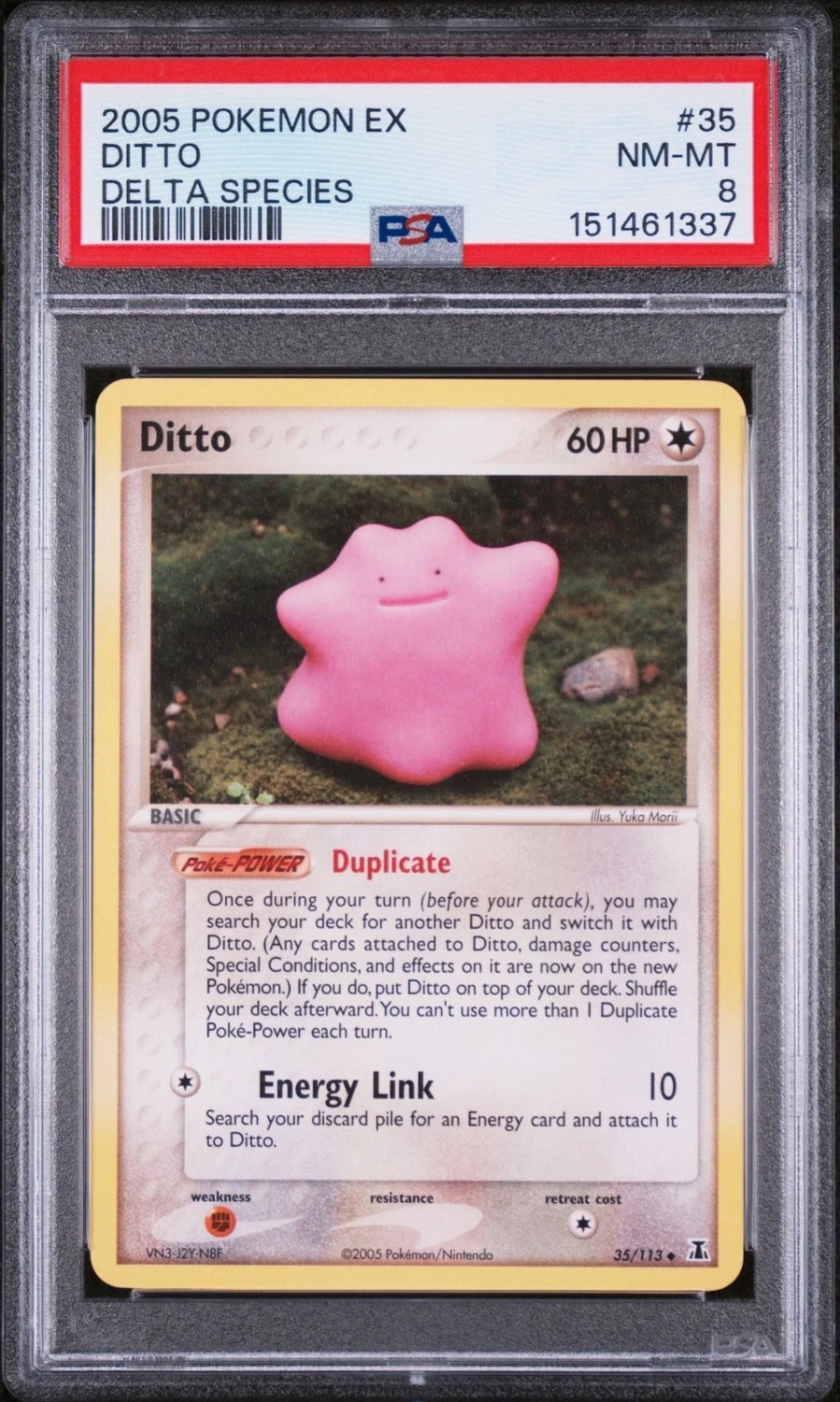 Ditto
