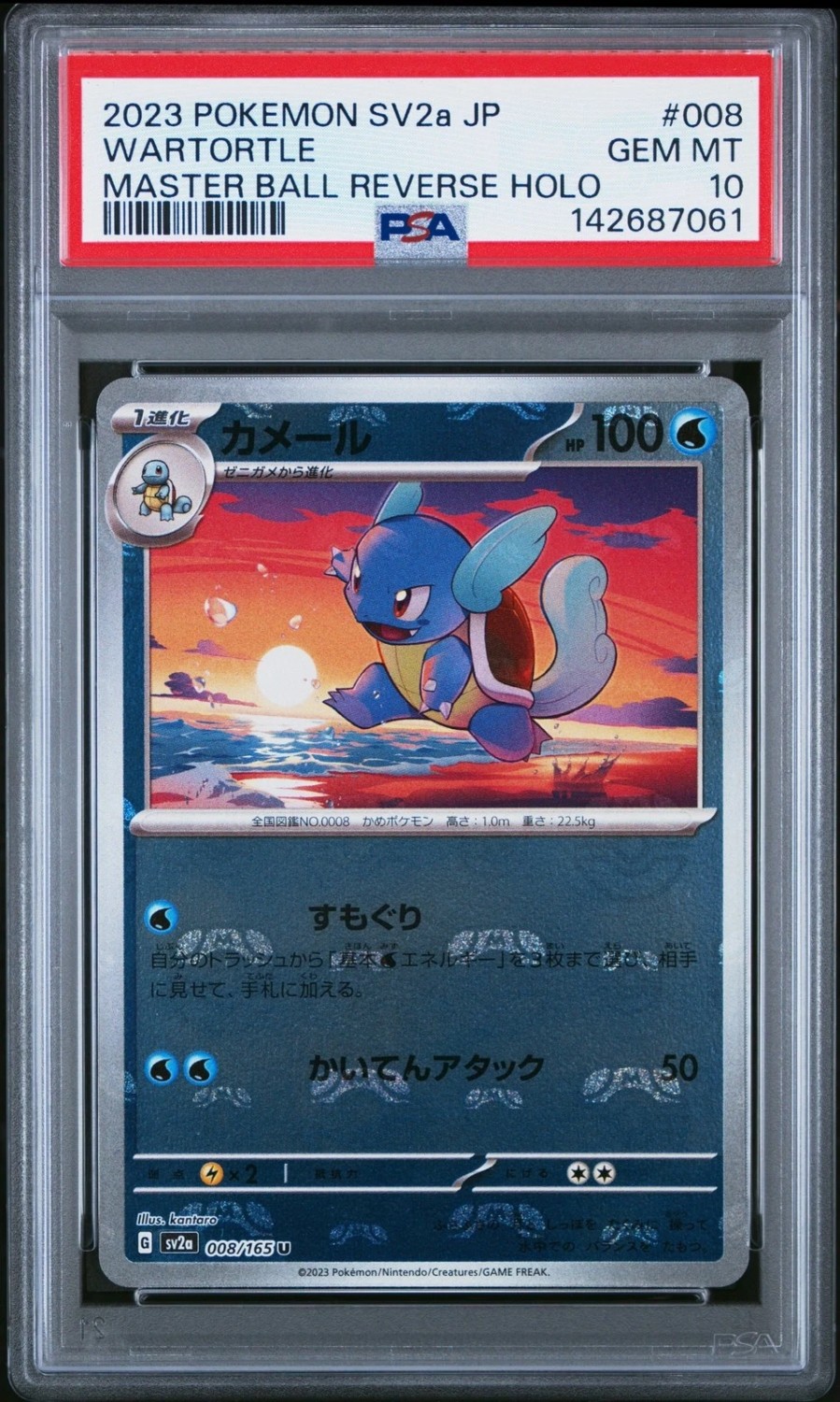 Wartortle