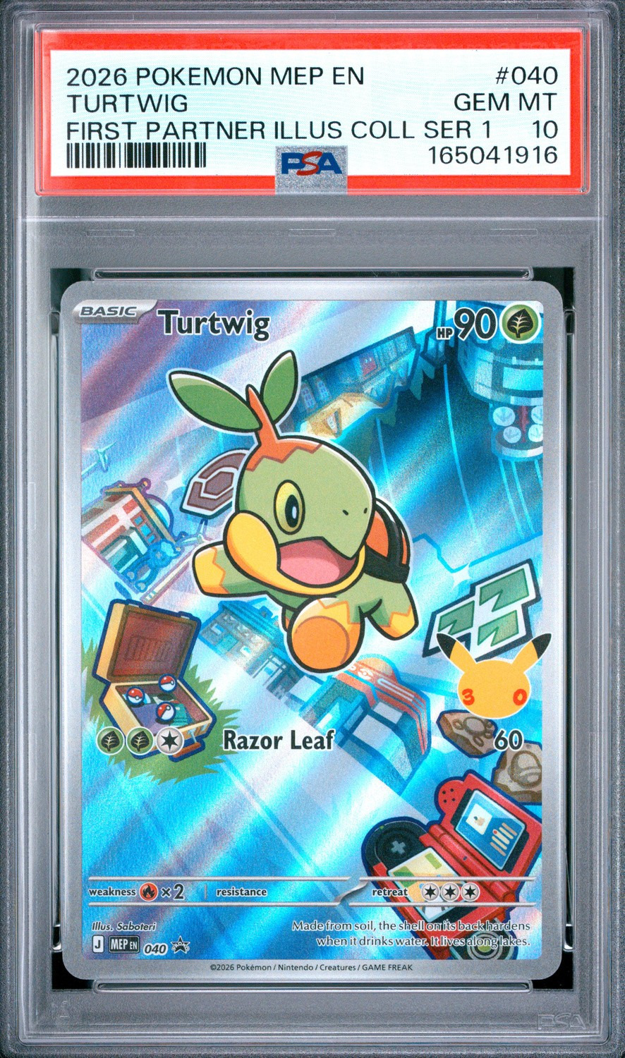 Turtwig