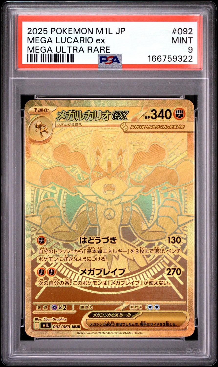 MEGA LUCARIO ex