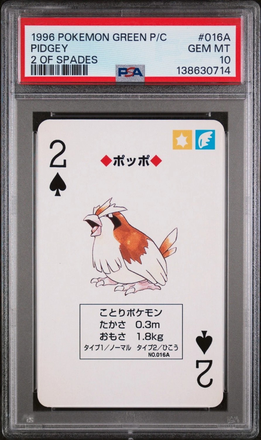 Pidgey