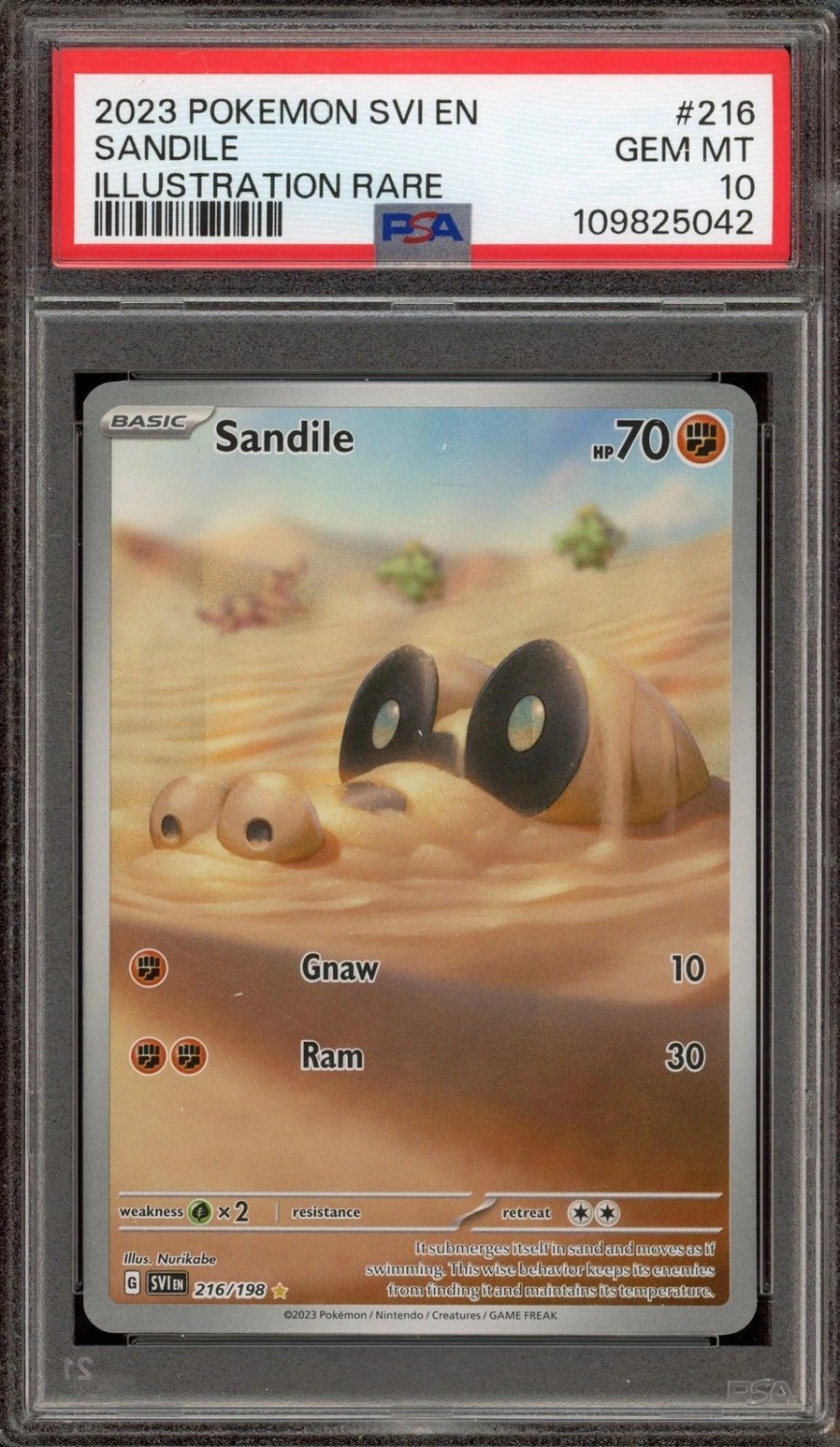 Sandile