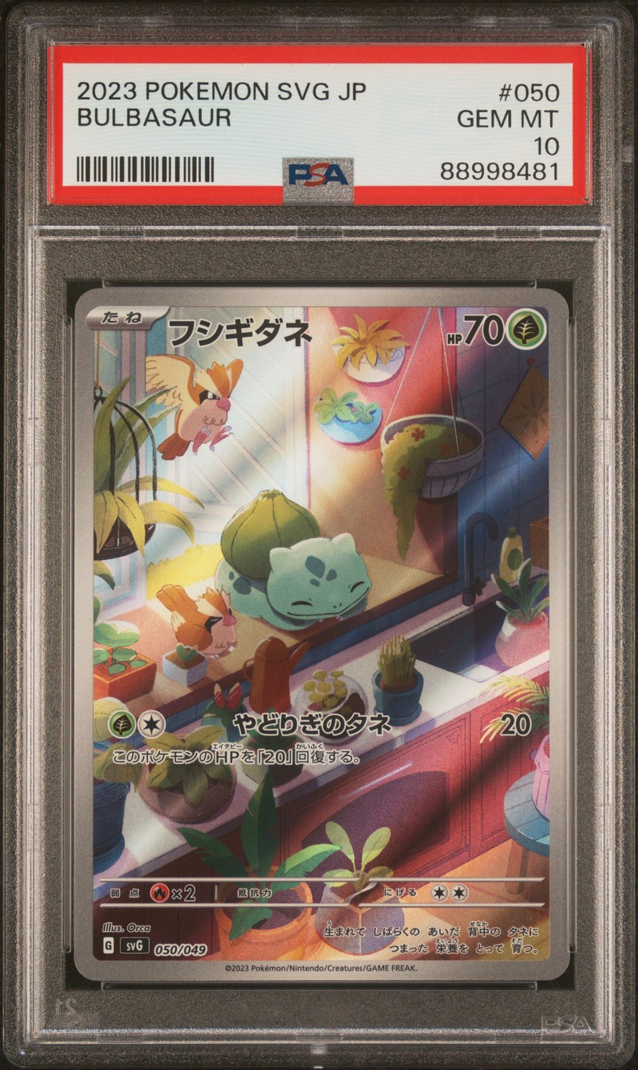 Bulbasaur