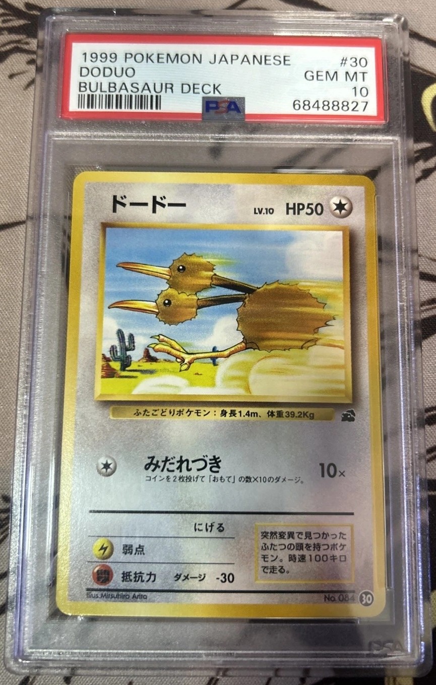 Doduo