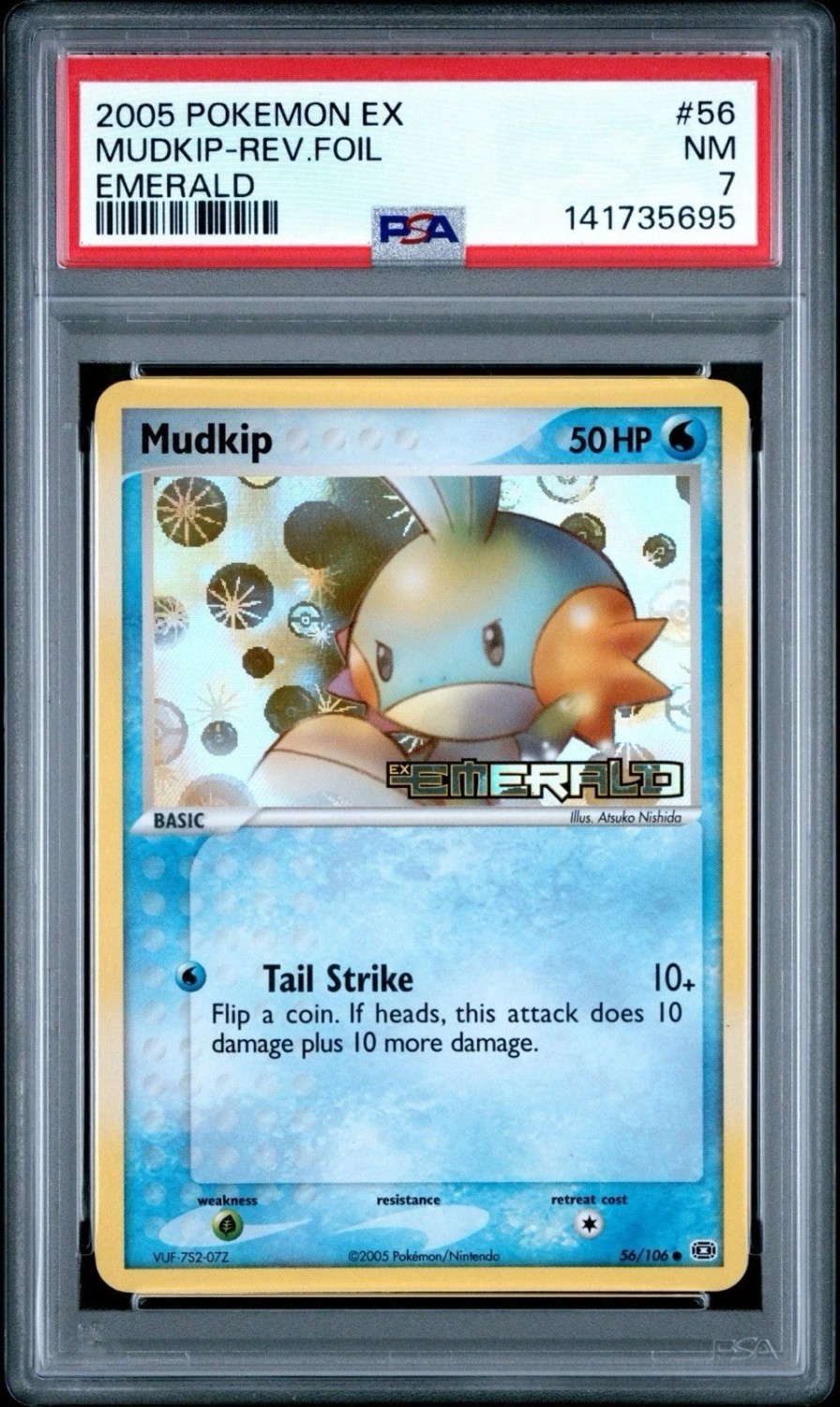 Mudkip