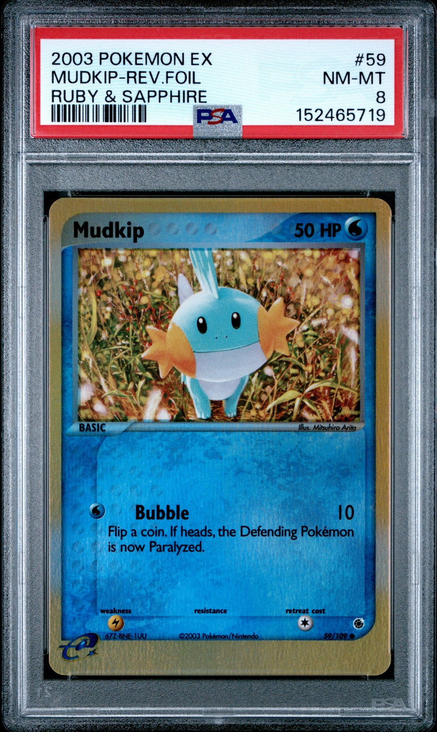 Mudkip