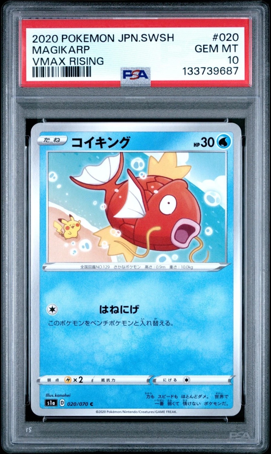 Magikarp