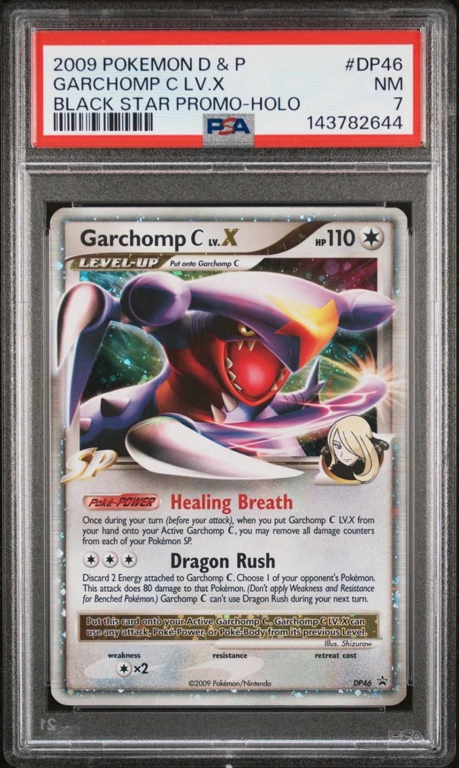 GARCHOMP C LV.X