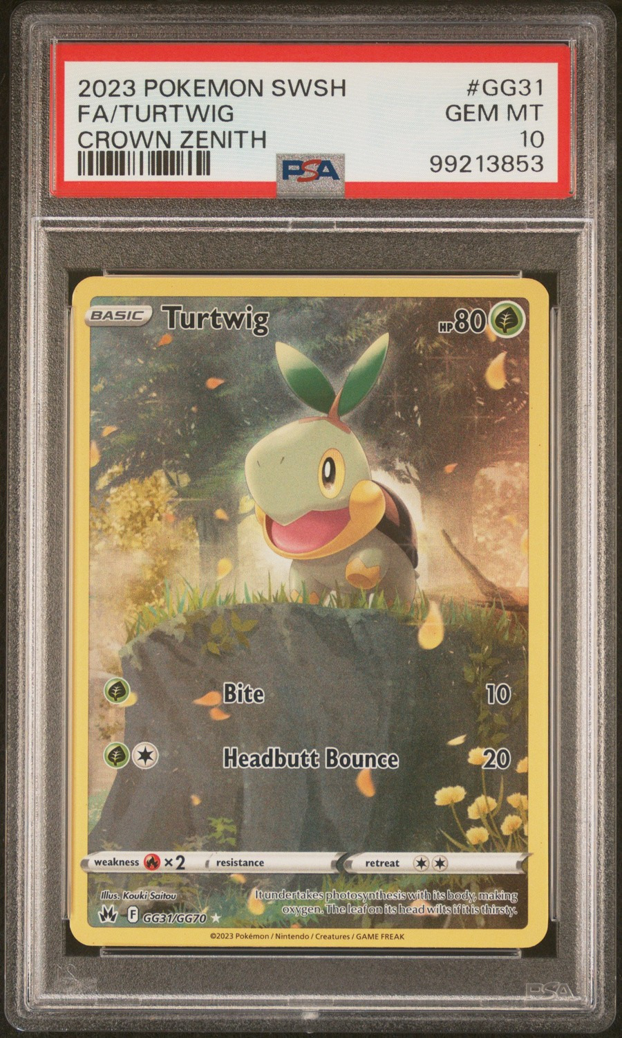 Turtwig
