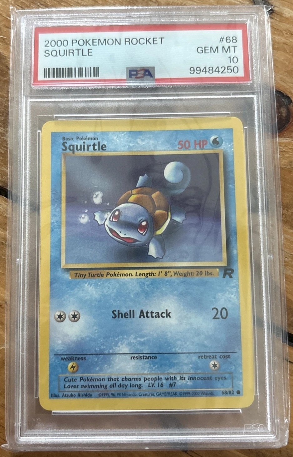 Squirtle