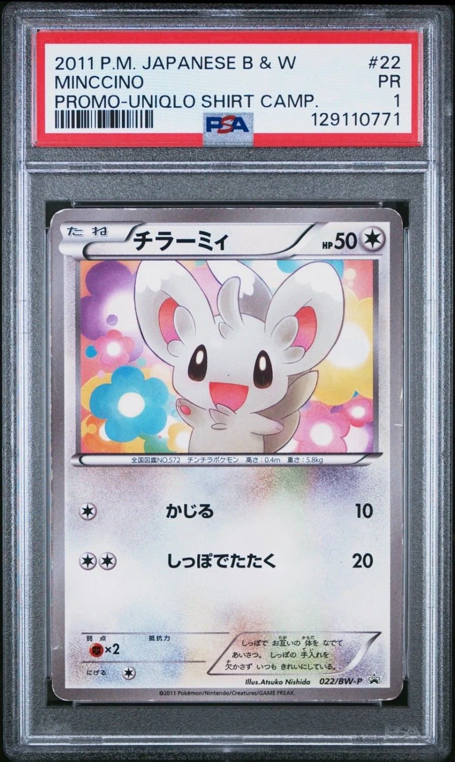 Minccino