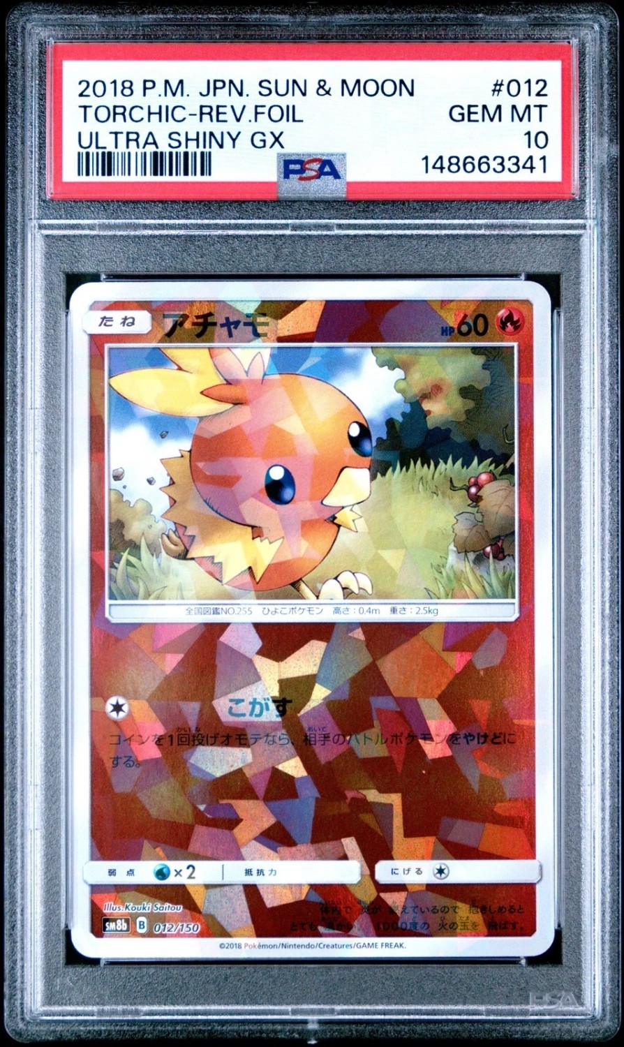 Torchic